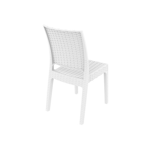 4242022_012_florida_white_back_sidefjio90 copy